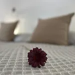 Modern A Belvaros Koezepen Parkoloval- Kata Studioapartman *