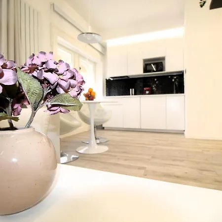 Modern A Belvaros Koezepen Parkoloval- Kata Studioapartman *