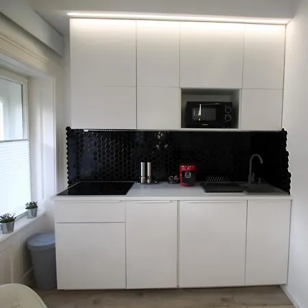 Apartment Modern A Belvaros Koezepen Parkoloval- Kata Studioapartman Gyor