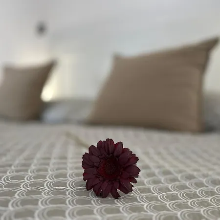 Modern A Belvaros Koezepen Parkoloval- Kata Studioapartman *