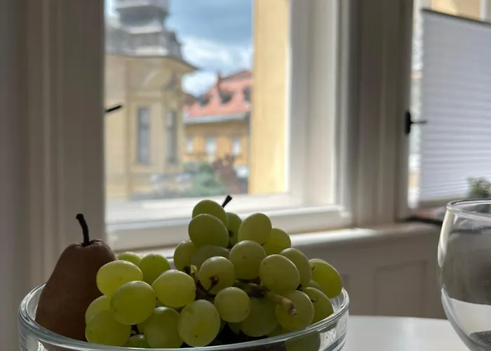 Modern A Belvaros Koezepen Parkoloval- Kata Studioapartman * Győr